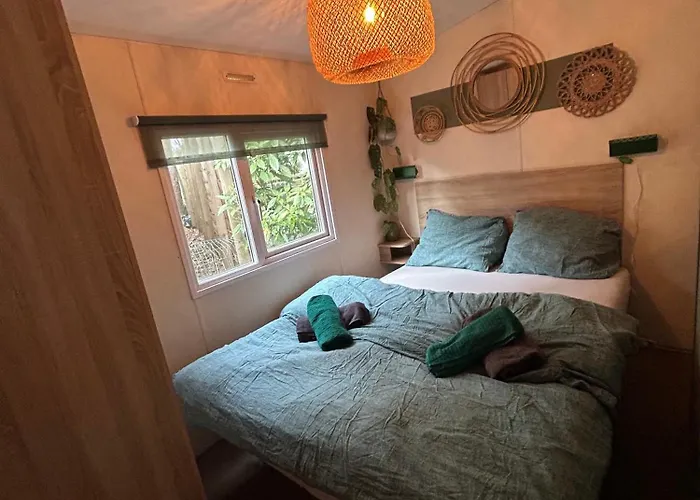 Boshuisje Met Sauna In *