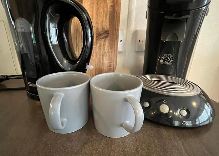 Aldeamento Turístico Boshuisje Met Sauna In Hoenderloo